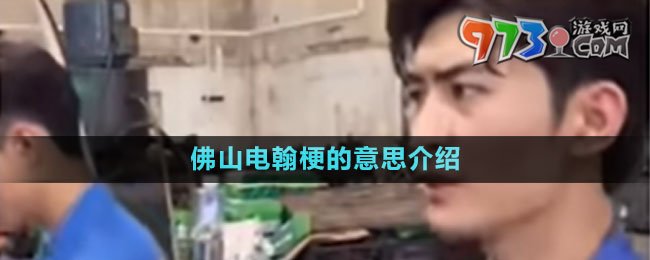 《抖音》佛山电翰梗的意思介绍