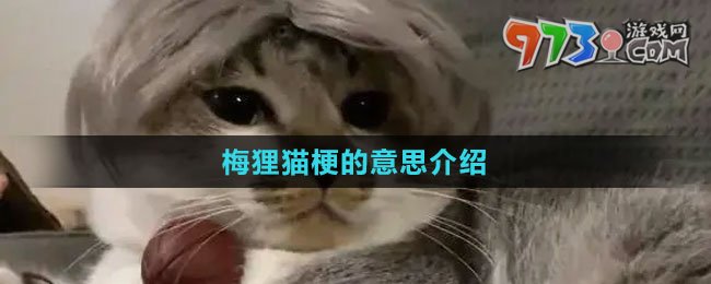 《抖音》梅狸猫梗的意思介绍