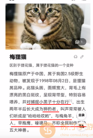 《抖音》梅狸猫梗的意思介绍