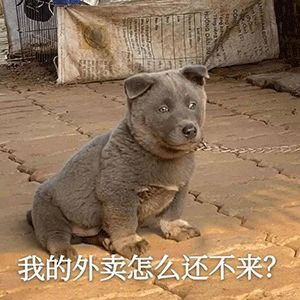 把裤子放进冰箱梗的意思介绍