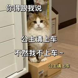 《抖音》公主请上车表情包分享