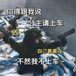 《抖音》公主请上车表情包分享