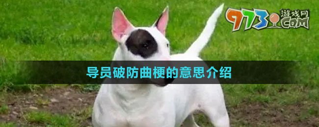 《抖音》导员破防曲梗的意思介绍