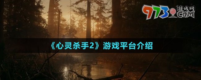 《心灵杀手2》游戏平台介绍