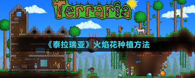 《泰拉瑞亚》火焰花种植方法