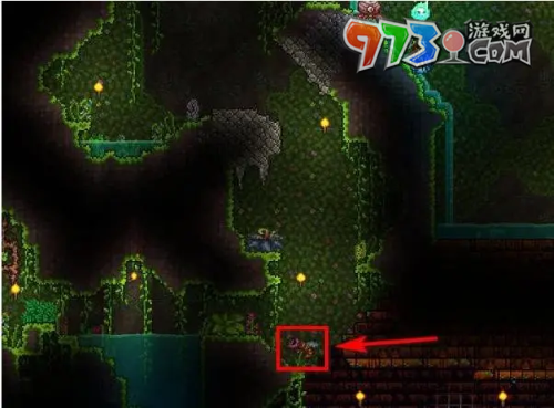 《泰拉瑞亚》蜂刺获取方法