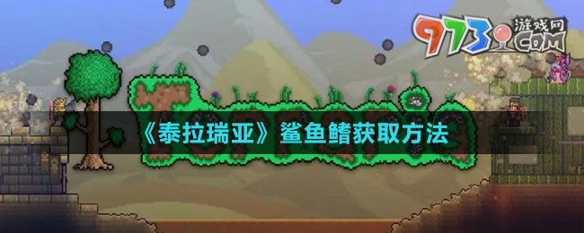 《泰拉瑞亚》鲨鱼鳍获取方法