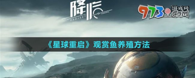 《星球：重启》观赏鱼养殖方法