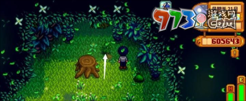 《星露谷物语》蕨菜位置介绍