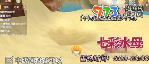 《摩尔庄园》七彩水母位置介绍