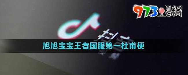 旭旭宝宝王者国服第一杜甫梗的意思介绍