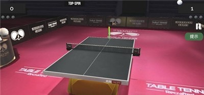乒乓球世纪截图(3)