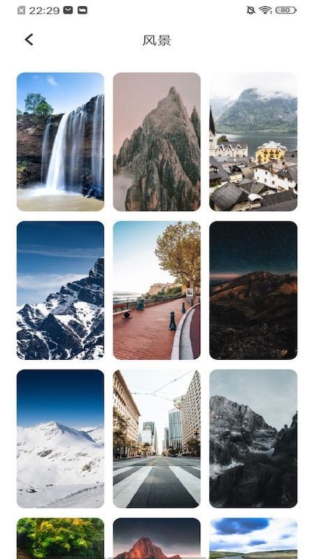 墙纸大全截图(4)