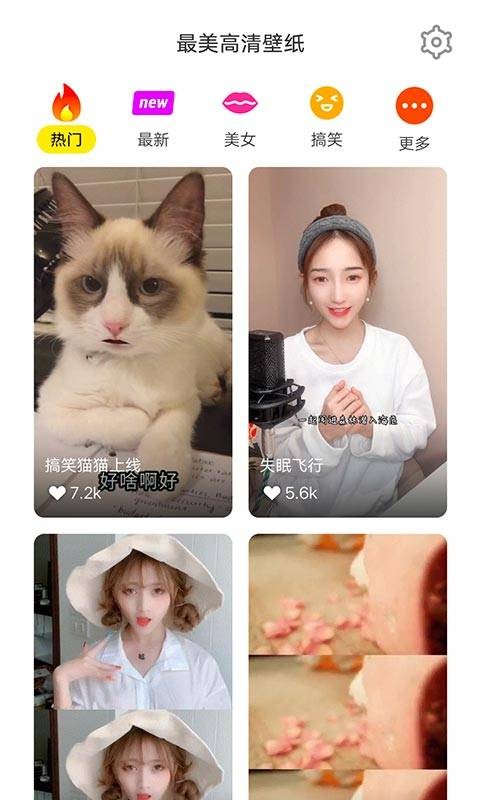 最美高清壁纸截图(2)