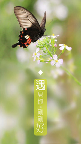 遇见你交友截图(4)