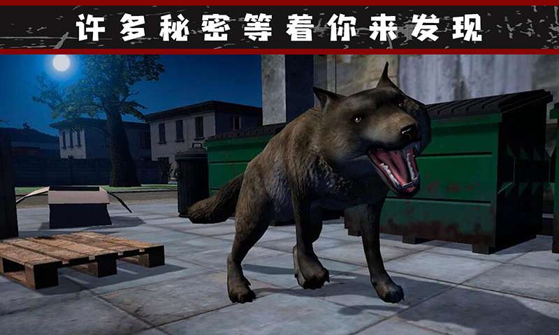 我的流浪生涯截图(2)