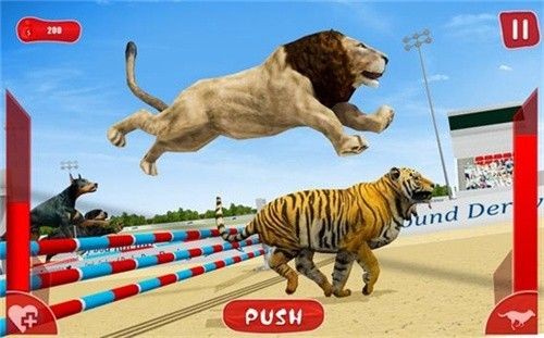 狮子赛跑3D截图(3)