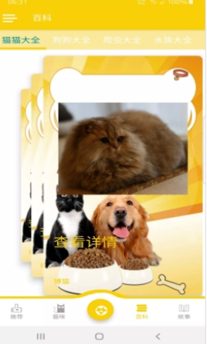 博猫养猫截图(2)