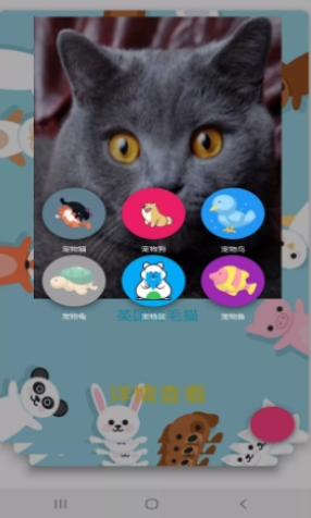 博猫养猫截图(3)