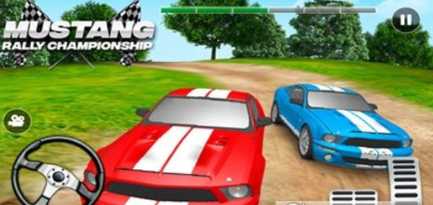 赛车拉力锦标赛截图(2)