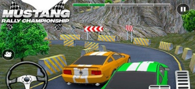 赛车拉力锦标赛截图(4)