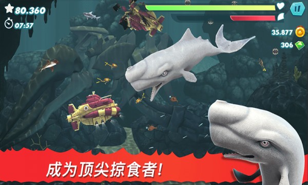 饥饿大白鲨截图(3)