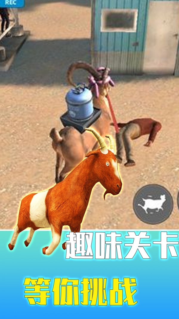 疯狂动物调查局截图(2)