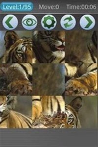 猛虎拼图截图(3)