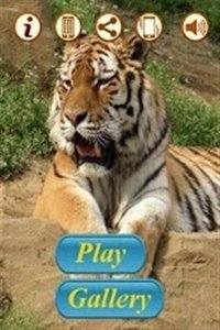 猛虎拼图截图(4)