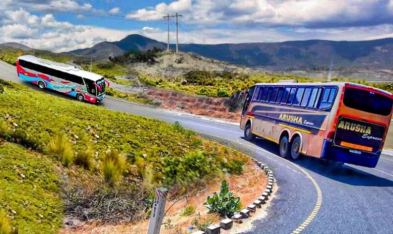 手动挡巴士模拟器截图(1)