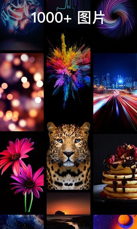 灵猫主题壁纸截图(3)