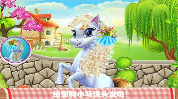 我的宠物化妆美容截图(2)