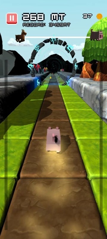 小猪狂奔截图(1)