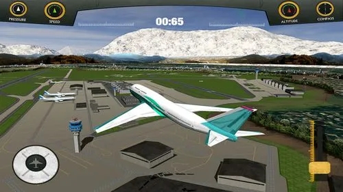 真实空中飞机截图(1)