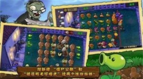 植物大战僵尸原版中文版截图(2)