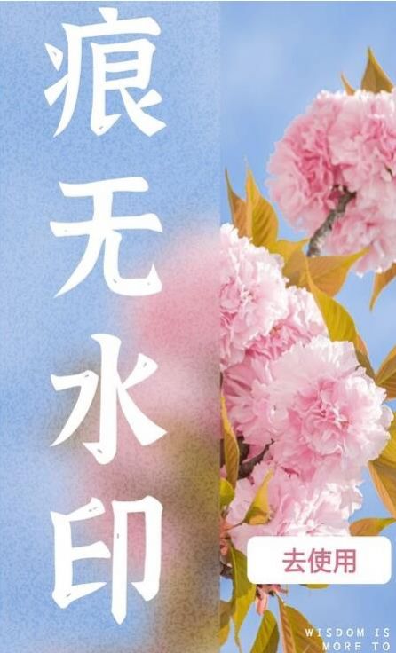 水印扣除截图(3)