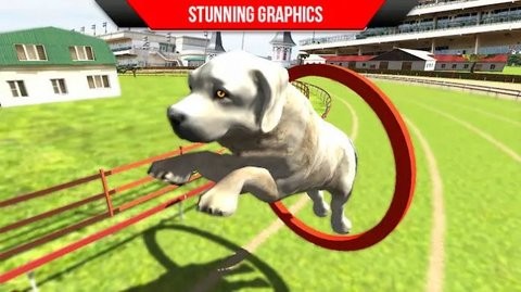 狗狗训练3D截图(1)