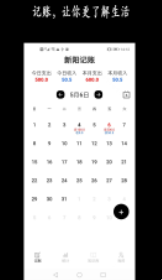 新阳记账截图(4)