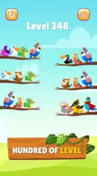 小鸟分类大师截图(2)