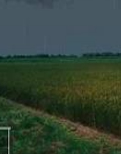 雨音疗愈截图(2)