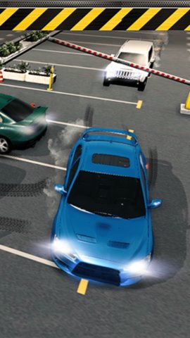 现代汽车停车模拟器截图(2)