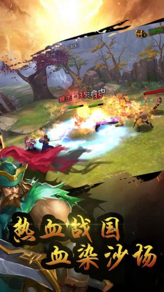 热血三国志3D手游正版截图(3)