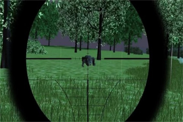 Jungle Animal Hunting截图(1)