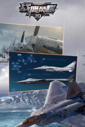 战鹰荣耀3D截图(1)