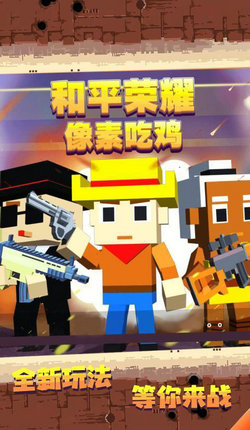 和平荣耀像素吃鸡截图(2)