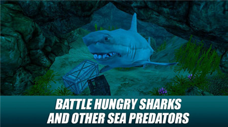 水下生存模拟截图(4)