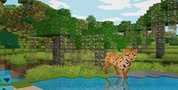 探索迷你地球截图(4)