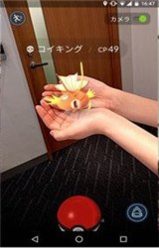 pokemon go瞬移版截图(2)