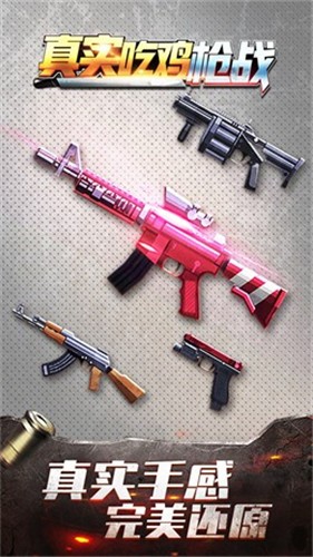 真实吃鸡枪战截图(4)