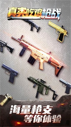 真实吃鸡枪战截图(3)